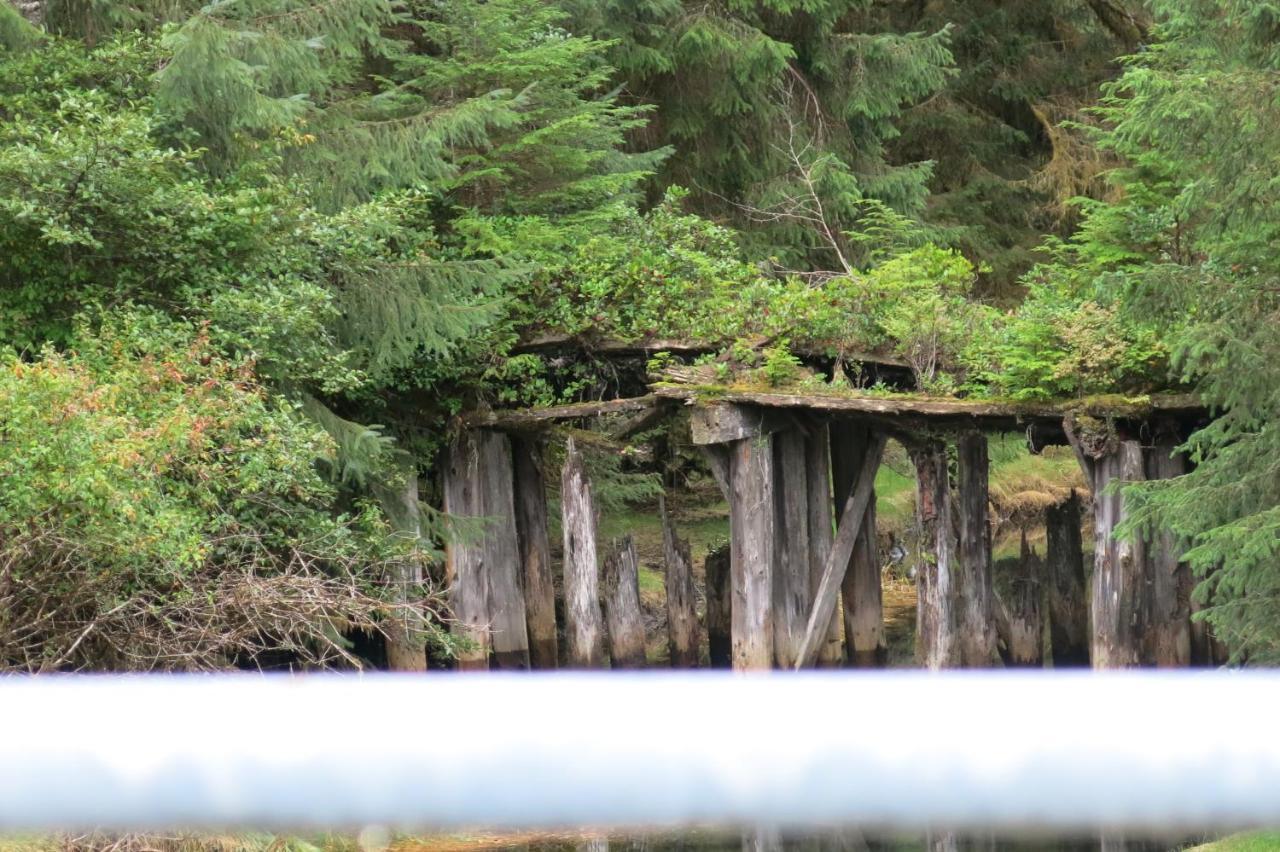 A Shack In The Woods Villa Port Renfrew Buitenkant foto