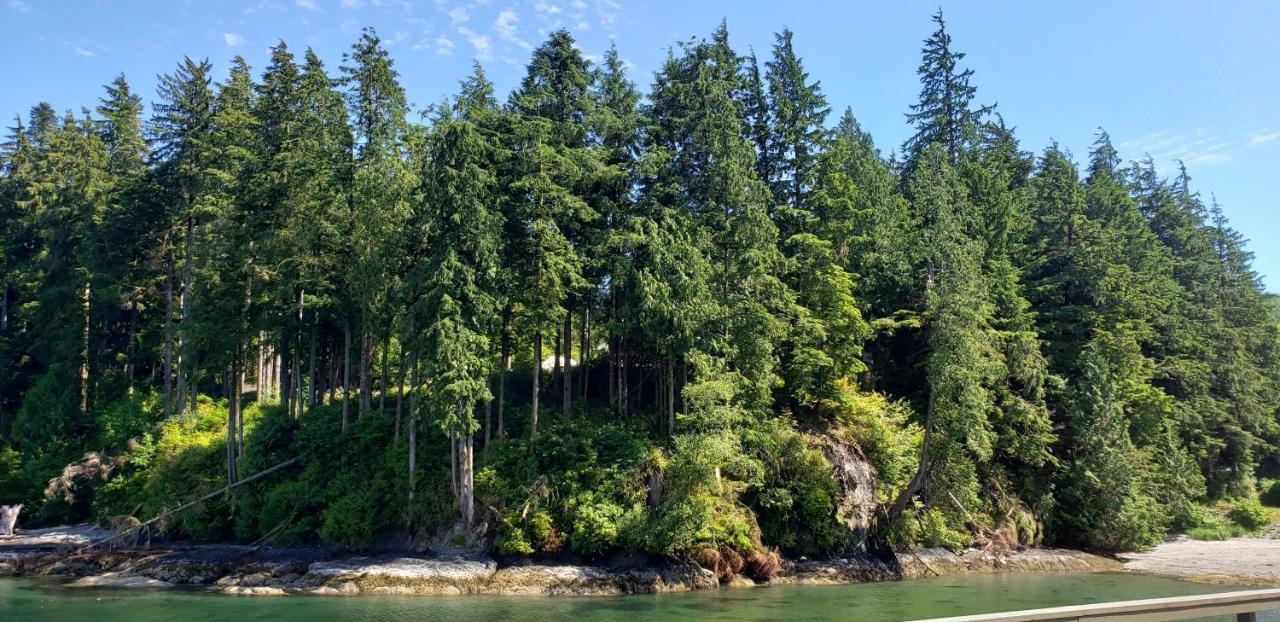A Shack In The Woods Villa Port Renfrew Buitenkant foto