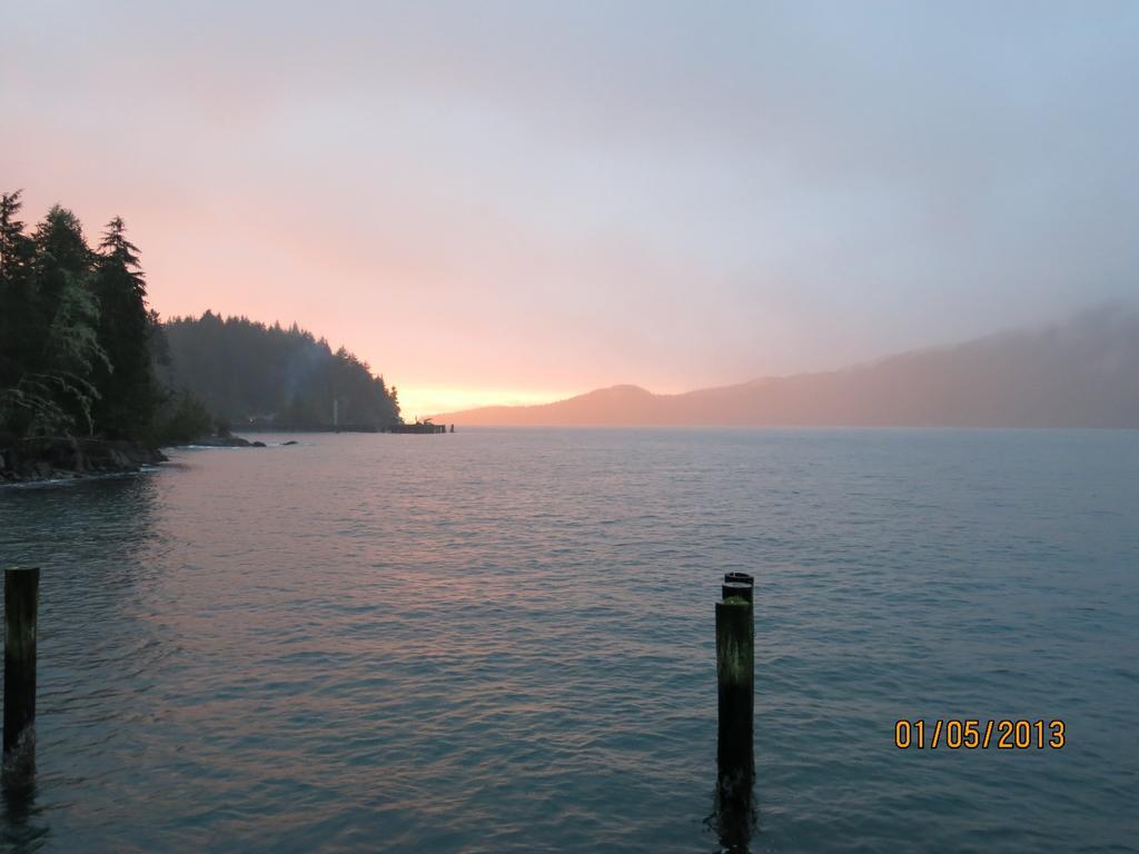 A Shack In The Woods Villa Port Renfrew Kamer foto