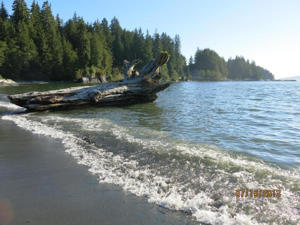A Shack In The Woods Villa Port Renfrew Buitenkant foto
