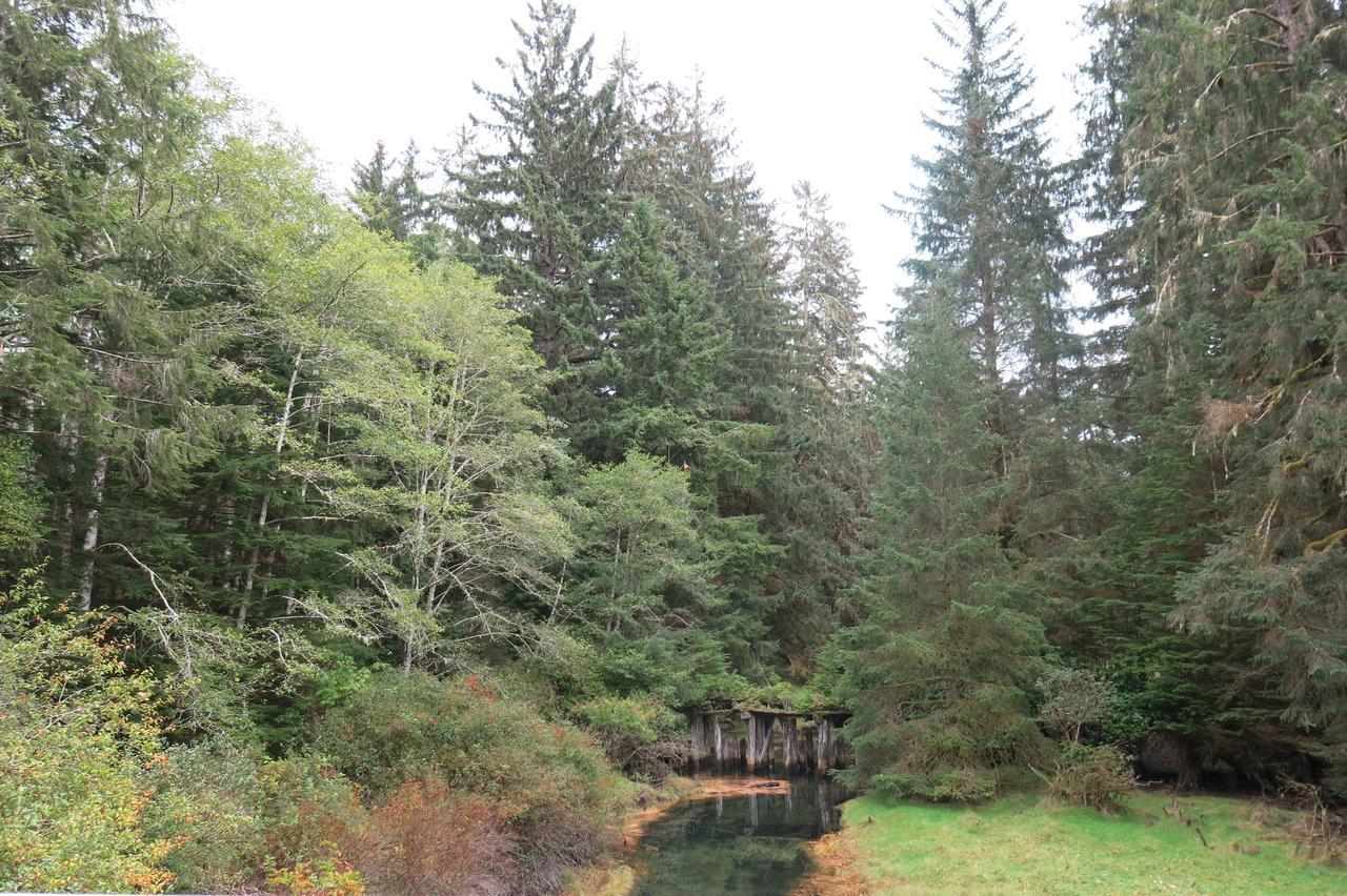 A Shack In The Woods Villa Port Renfrew Buitenkant foto