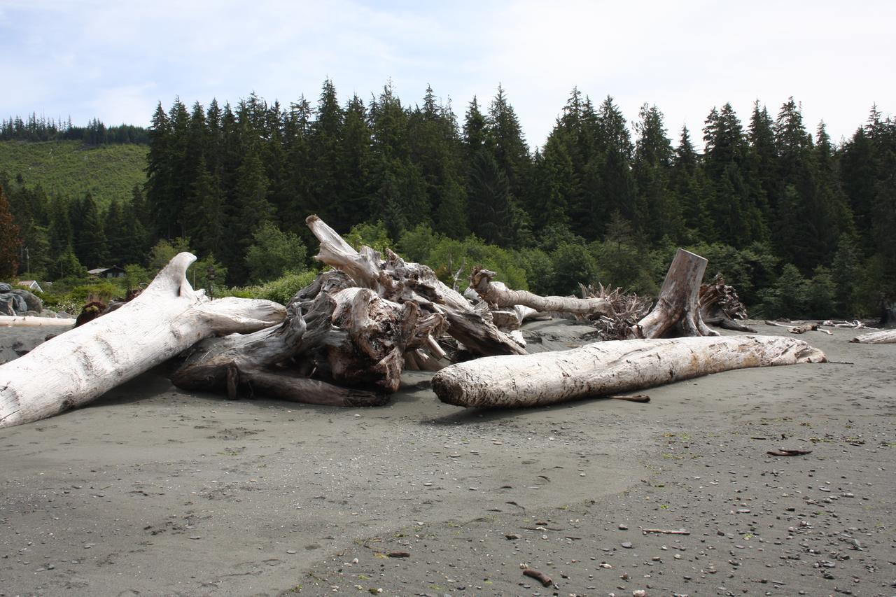 A Shack In The Woods Villa Port Renfrew Buitenkant foto